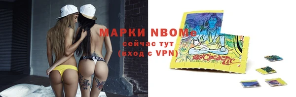 бошки Бородино