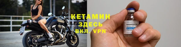 прущие грибы Болхов