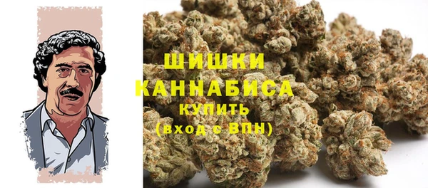 бошки Бородино