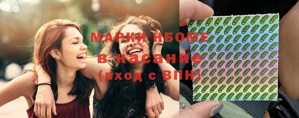 бошки Бородино