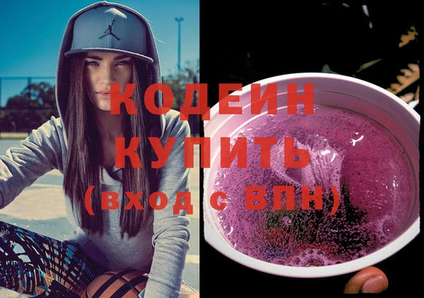 бошки Бородино