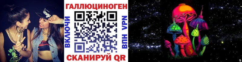 Галлюциногенные грибы Psilocybe  Кузнецк 