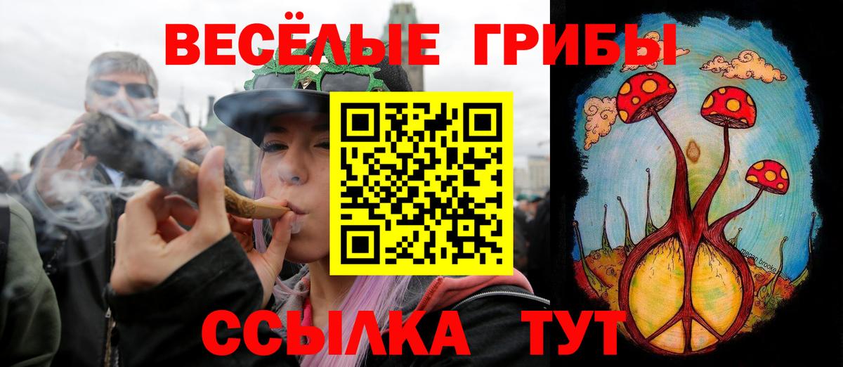 Псилоцибиновые грибы Cubensis  Вход с VPN  Галлюциногенные грибы ЛСД  Кузнецк 